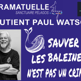 Ramatuelle Soutient Paul Watson