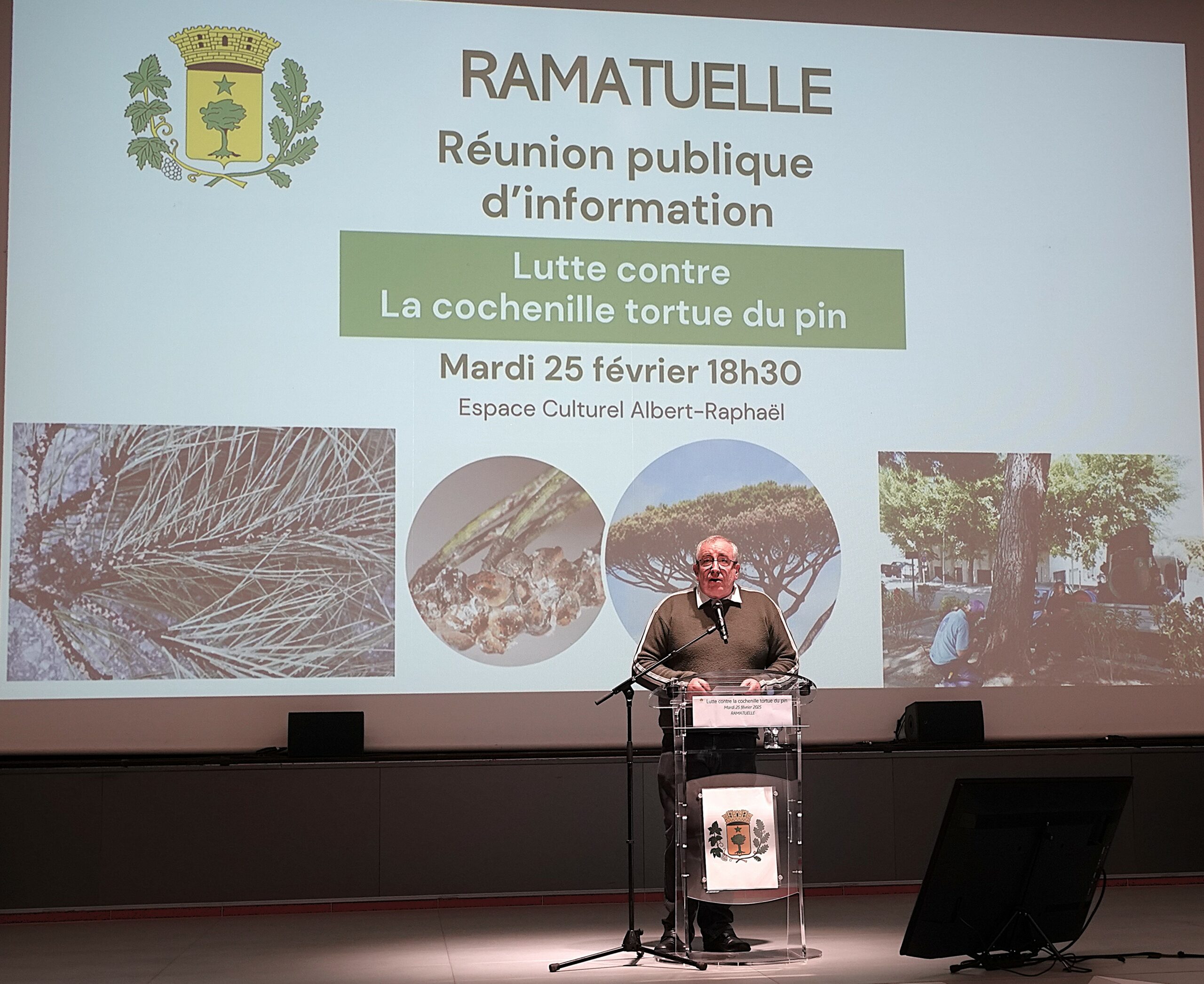 réunion publique lutte cochenille tortue du pin