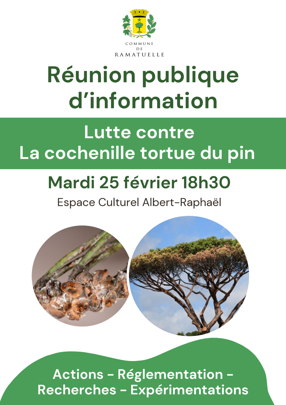 réunion publique d'information cochenille tortue du pin