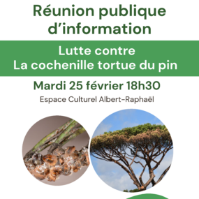 réunion publique d'information cochenille tortue du pin